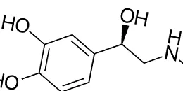 Épinéphrine